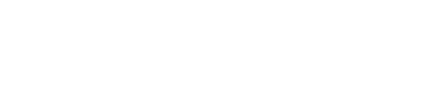 Logo V / ZEROUM horizontal branco com texto transparente